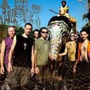 Hilight Tribe