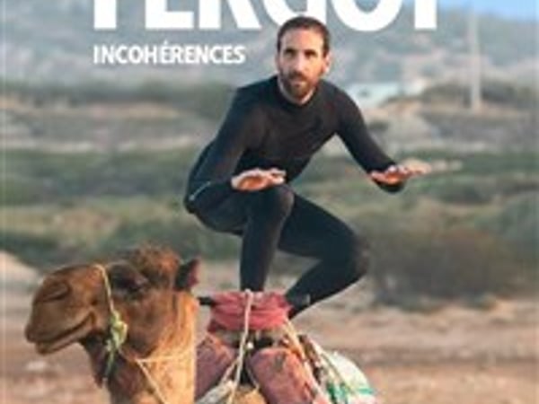 Sylvain Fergot dans Incohérences