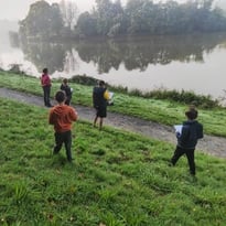 Levez les yeux ! Lecture de paysage au bocage !