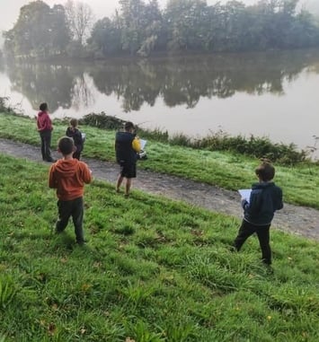 Levez les yeux ! Lecture de paysage au bocage !