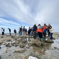 Levez les yeux ! Pêche à pied naturaliste