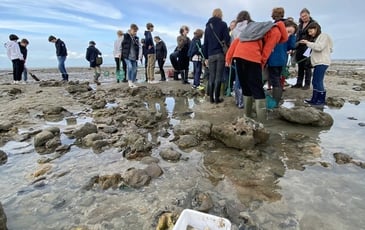 Levez les yeux ! Pêche à pied naturaliste
