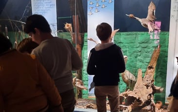 Levez les yeux ! Dans la collection d'histoire naturelle, il y a...