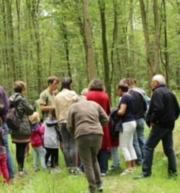 Levez les yeux ! À la découverte du milieu forestier