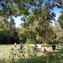 Levez les yeux ! De l'arbre à la brique
