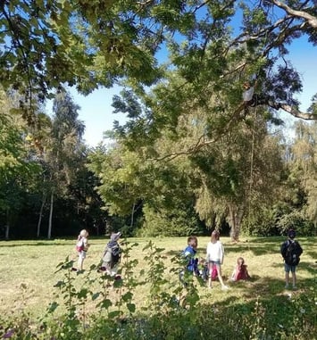 Levez les yeux ! De l'arbre à la brique