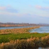 Levez les yeux ! Circuit "à la découverte des marais de la Dives"