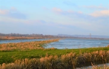 Levez les yeux ! Circuit "à la découverte des marais de la Dives"