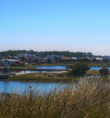 Visite guidée : un port, une île, des huîtres, une histoire courseullaise