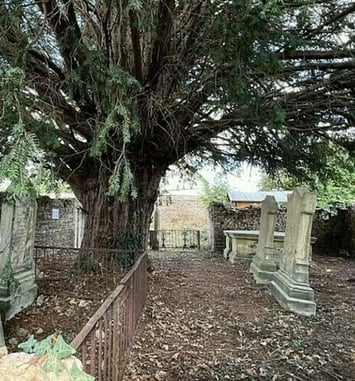 Visite libre de l'ancien cimetière protestant