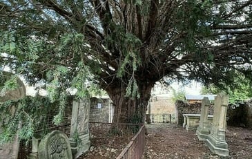 Visite libre de l'ancien cimetière protestant