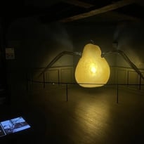 Visite libre des maisons Satie