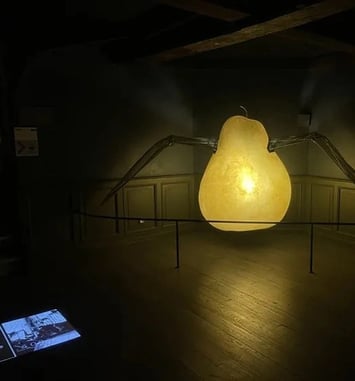 Visite libre des maisons Satie