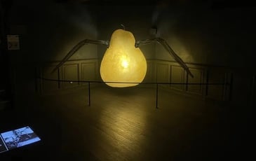 Visite libre des maisons Satie