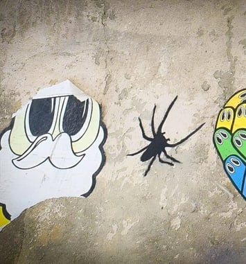 Visite guidée : à Caen le street-art