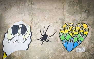 Visite guidée : à Caen le street-art