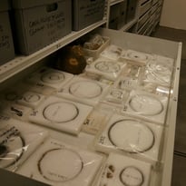 Visite guidée des réserves du musée