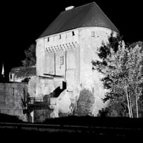 Visite guidée de l'exposition "Le château des photographes"
