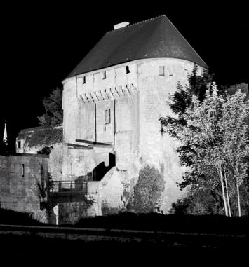 Visite guidée de l'exposition "Le château des photographes"