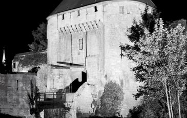 Visite guidée de l'exposition "Le château des photographes"