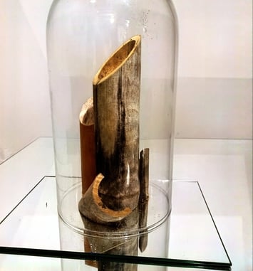 Exposition : Patrick Thomé, Itinéraire, en quête d'artistes