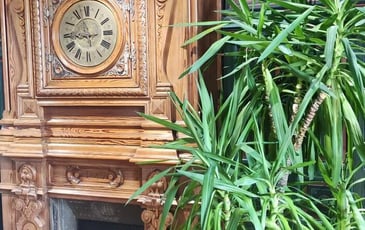 Visite guidée de la mairie