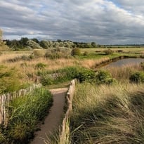 Visite guidée du Marais du Platon