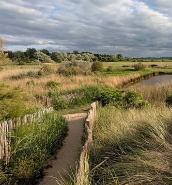Visite guidée du Marais du Platon