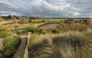 Visite guidée du Marais du Platon