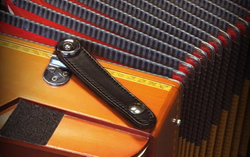 Exposition : photographies de Pierre Jamet d'instruments de musique