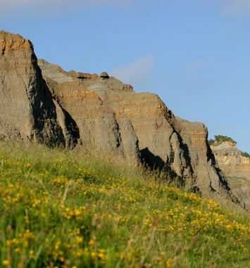 Visite guidée des falaises des Vaches noires