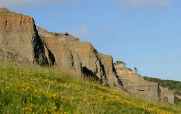 Visite guidée des falaises des Vaches noires