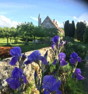 Visite guidée de l'abbaye