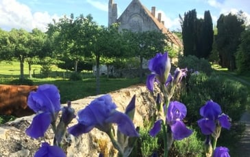 Visite guidée de l'abbaye