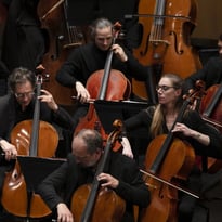 Concert : cordes percutées de l'Opéra Orchestre Normandie Rouen