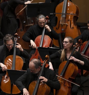 Concert : cordes percutées de l'Opéra Orchestre Normandie Rouen