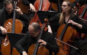 Concert : cordes percutées de l'Opéra Orchestre Normandie Rouen