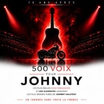 500 Voix pour Johnny, Dix ans après