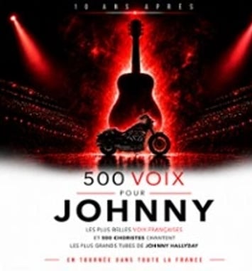 500 Voix pour Johnny, Dix ans après