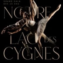 Notre Lac des Cygnes