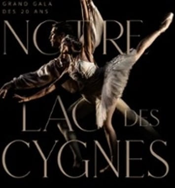 Notre Lac des Cygnes