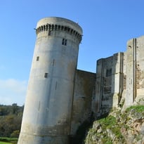 Démonstration : des invités spéciaux dans la basse-cour du château