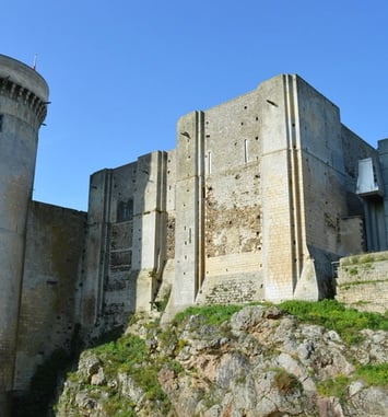 Démonstration : des invités spéciaux dans la basse-cour du château