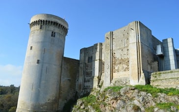 Démonstration : des invités spéciaux dans la basse-cour du château