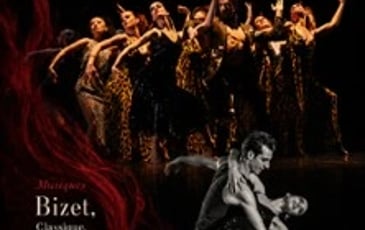 Carmen le Ballet, Compagnie François Mauduit