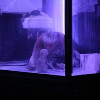 Cube Antigone