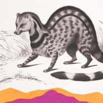 Visite de chantier - Un Animals, des Animals