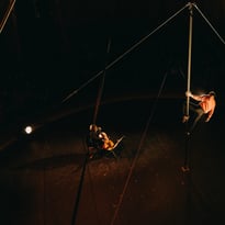 Circus Musicus
