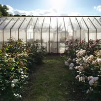 Visite guidée de la ferme florale