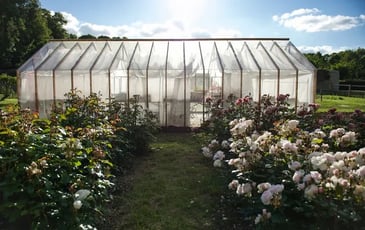 Visite guidée de la ferme florale
